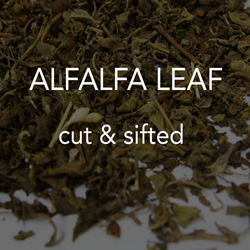 Alfalfa Leaf c/s *co 