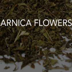 Arnica Flowers 