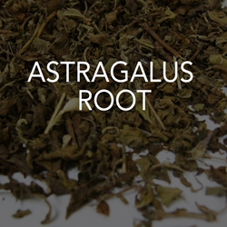 Astragalus Root 