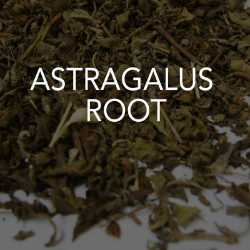 Astragalus Root 