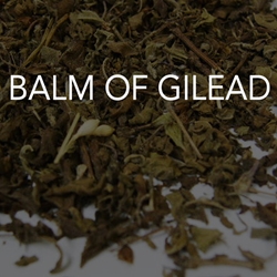Balm of Gilead 