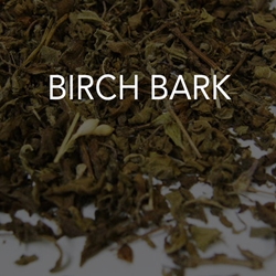 Birch Bark 