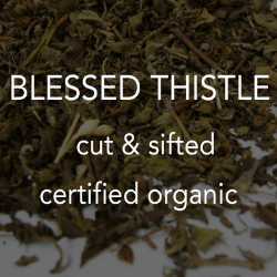 Blessed Thistle c/s *co 