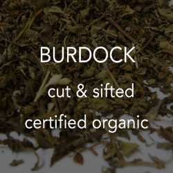 Burdock c/s *co 
