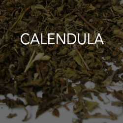 Calendula 