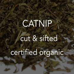 Catnip c/s *co 