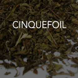 Cinquefoil 