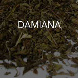 Damiana 