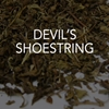 Devils Shoestring 