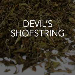 Devil's Shoestring 