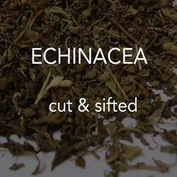 Echinacea c/s 