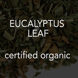 Eucalyptus Leaf *co 