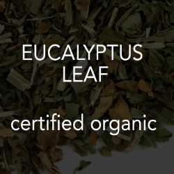 Eucalyptus Leaf *co 
