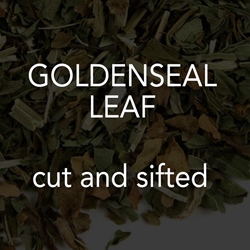 Goldenseal Leaf 