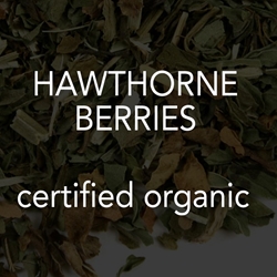 Hawthorne Berries *co 