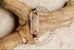  Carved Quan Yin (Kwan Yin) in Clear Quartz Bracelet - BWKY