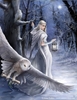 Midnight Messenger  Card Owl Card by Anne Stokes 