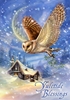 Snow Bringer Yule Card Owl Card by Anne Stokes 