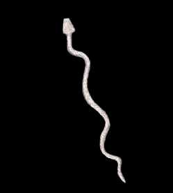 Kore Snake Wand 