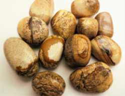 Jasper, Picture, Tumbled and Polished  