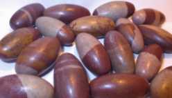 Shiva Lingam, Tumbled and Polished 1"-1 1/4" 