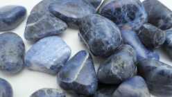 Sodalite, Tumbled and Polished  