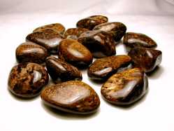 Bronzite, Tumbled & Polished, 1" 